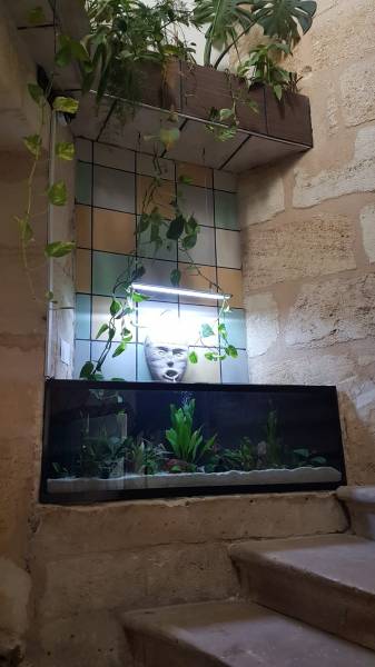 Société Greg Aqua Service spécialiste dans la création d'aquarium sur mesure à Bordeaux